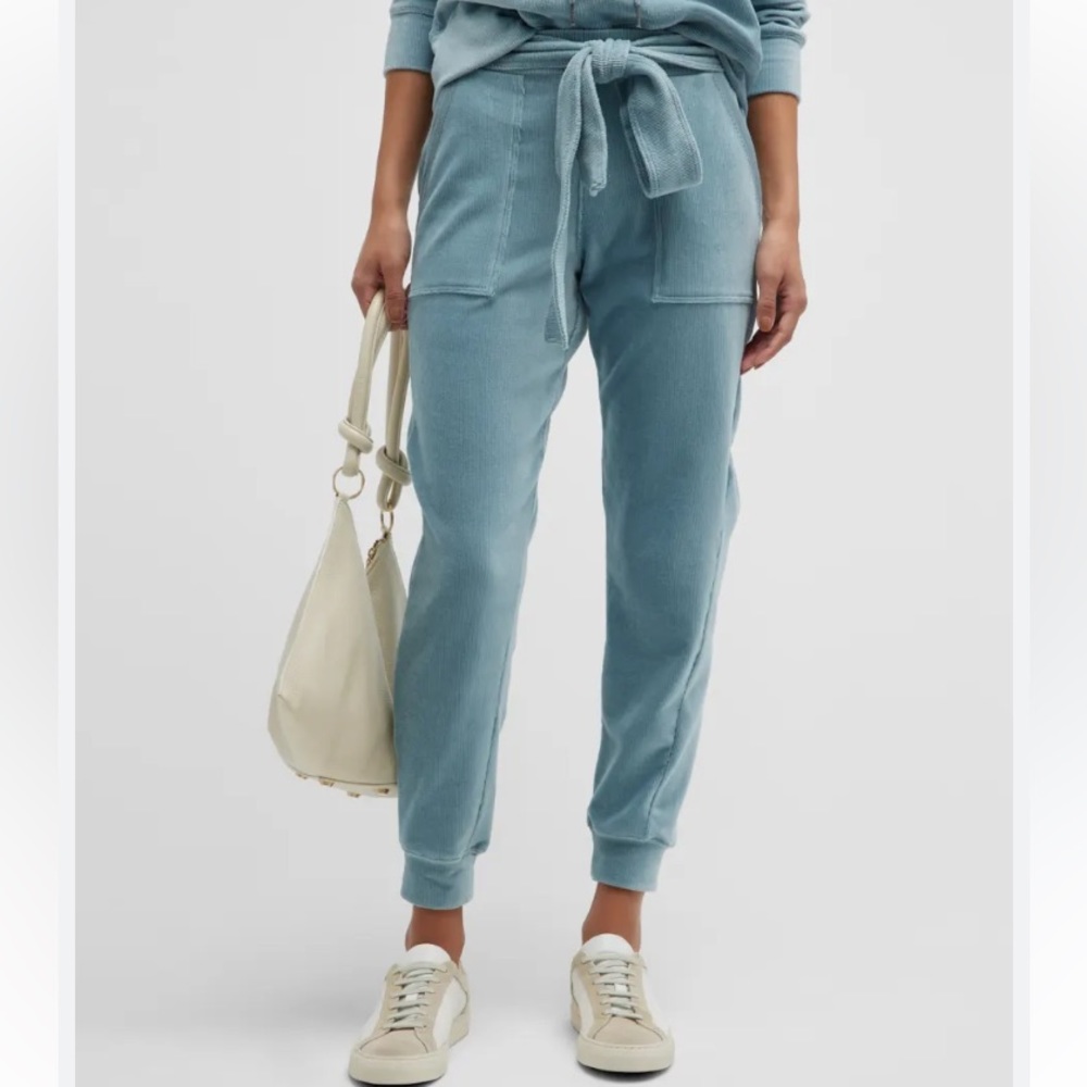 Splendid Andes Cord Joggers